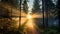 Spiritual Meditations: Journey Through The Sunlit Forest Path