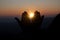 Spiritual prayer hands over sun shine with blurred beautiful sunset background