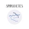 Spirochetes. Bacteria classification. Spiral shapes of bacteria. Morphology. Microbiology.