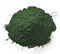 Spirulina algae powder