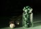 Spirulina Chlorella in glass jar, sea shells on green background. Antioxidant nutrition. Bio-energy, biofuel, energy research.