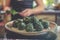 spirulina energy balls on a plate with a person in the background