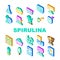 Spirulina Nutrition Ingredient Icons Set Vector