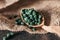 Spirulina seaweed tablets on a wooden spoon on a burlap background