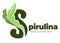 Spirulina super food seaweed, logotype for organic ingredients