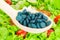 Spirulina tablets close up.Nutrient rich food cocept