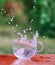 Splash of cool fresh water with ice cube in transparent glass cup in the table outoors in summer day.