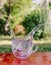 Splash of cool fresh water with ice cube in transparent glass cup in the table outoors in summer day.