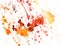 Splash grunge stained red watercolor art background