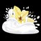 Splash milk or yogurt and vanilla flower. 3d realistic vector on black background