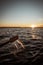 Splash from rowing wooden oar on boat on a lake during sunset