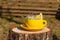 Splash of tea in yellow cup with lemon on wooden log in the yard