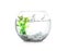 Splash of water in round fish bowl with decorative plant and pebbles on background