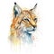 Splash watercolor lynx illustration - generative AI, AI generated