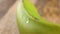 Splashes of water drip onto the green banana fruit.