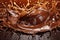 Splashing cascade of melted chocolate. Rich and velvety symphony of pure chocolate delight, evoking irresistible cravings and
