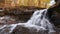 Splashing McCormicks Creek Falls Loop