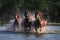 splashing water as wild horses cross a river