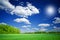 Splendid green field and the blue sky with clouds.