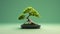 Splendid Hd Mint Bonsai Tree Desktop Wallpaper