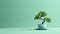 Splendid Hd Mint Bonsai Tree Desktop Wallpaper