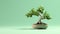 Splendid Hd Mint Bonsai Tree Desktop Wallpaper For Minimalist Users