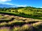 Splendid landscape, lavender field, hills, nature and environment in Castelnuovo Don Bosco town, Piedmont region,  Italy