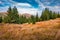 Splendid morning scene of Carpethian mountains with Hoverla peak on background