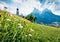 Splendid morning view of San Valentino Church in Castelrotto/Kastelruth village. Colorful summer scene of Dolomiti Alps, Bolzano,