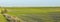 Splendid photography of green wavy field in sunny day. Agricultural area of Ukraine, Europe. Concept of agrarian industry.