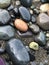 A splendid shoot of a wet colored rocks