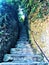 Splendid street and hidden path in Portofino village, Genoa province, Liguria region, Italy