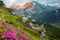 Splendid Sunny Landscape in Mountains. Fairytale Valley on Alpine highlands, with fresh Flowers Rhododendron. Amazing Natural