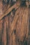 Splintered wood texture and background. Closeup view of splinter wood texture. Abstract texture and background for designers.