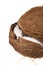 Split coconut isolated over white