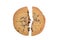 Split Cookie