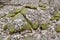 Split limestone rock along hiking trail at Pretty River Valley