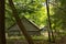 Split log Barn and cabin in the Smoky Mountains