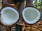 Split open mature coconut held in hand by man,