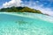 Split photography of a Black tip reef shark in Moorea French Polynesia