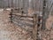 Split Rail Fence along Hiking Trail