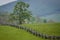 Split rail fence crosses a green mountain pasture.