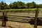 Split-rail fence and grapevines