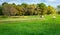 Split rail fence and haybales in a field