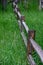 Split Rail Fence Through Tall Grass
