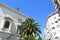 Split\\\'s Summer Charm: Old Architecture Meets Modern Blocks with huge Palm Tree