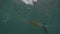 Split shot: Above and underwater view of kayaker paddling in the ocean.