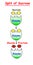 Split of Sucrose with Enzyme to Glucose and Fructose info graphic.