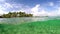 Split underwater view of La Caravelle beach in Guadeloupe, French west indies. L
