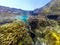 Split underwater view of Sardinia rocky seafloor